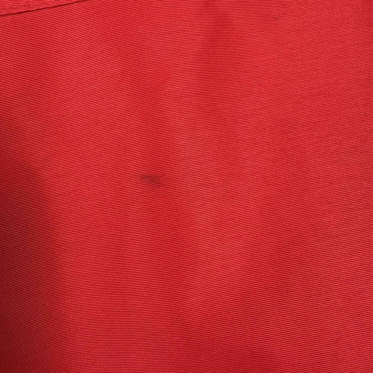 The North Face Summit Series GORE-TEX Mountain Parka Red L
