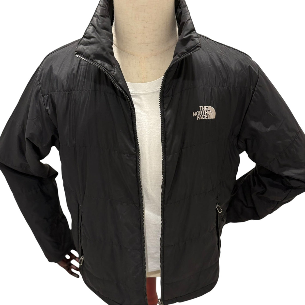 ノースフェイス ジップインジップ ZIP IN ZIP インナージャケット L